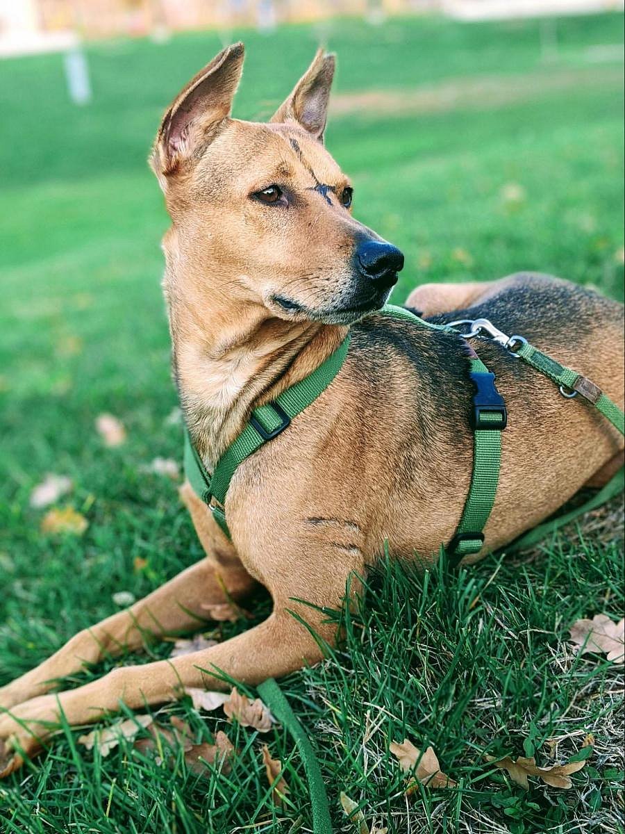 The Indies deserve more love and respect.