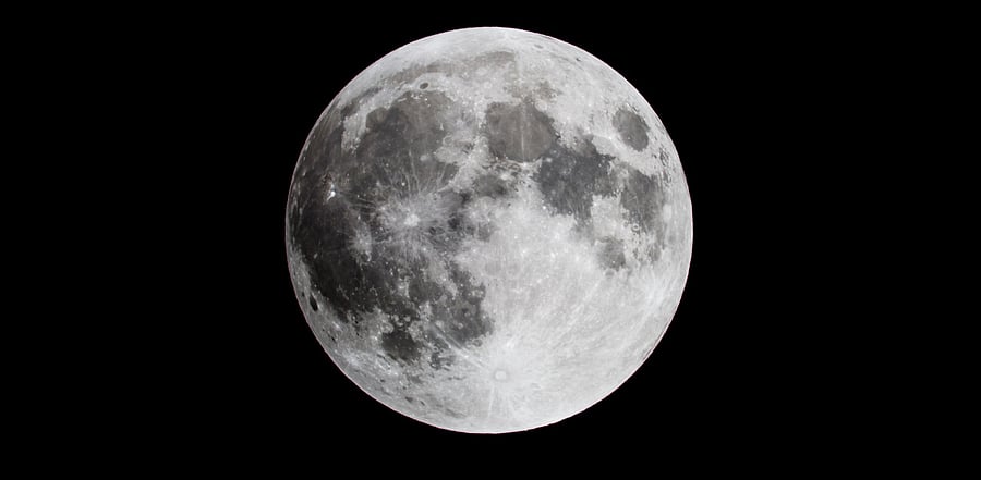 Representative image. Credit: iStockPhoto