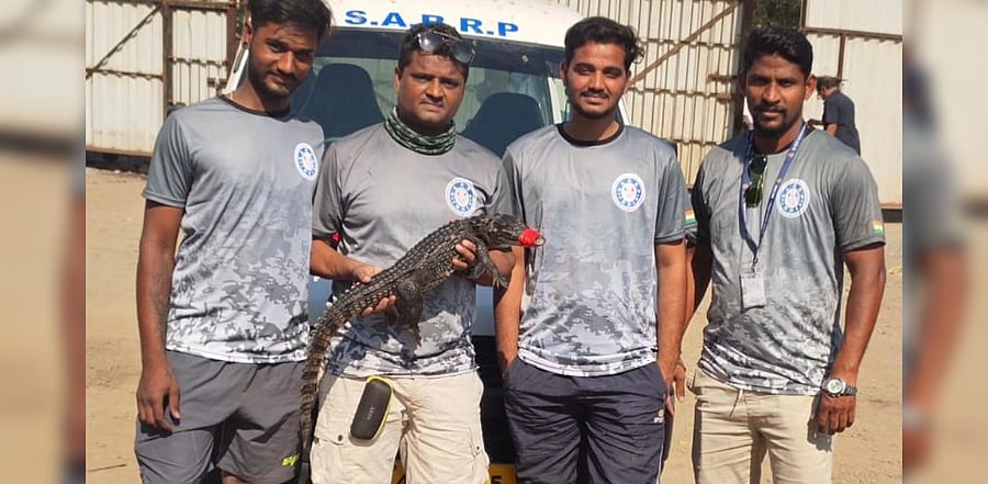 The rescuers with the crocodile.Credit: Special arrangement. 