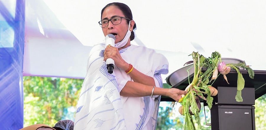 West Bengal Chief Minister Mamata Banerjee addresses a rally to protest against the Center's new farm laws, in Midnapore. Credit: PTI Photo