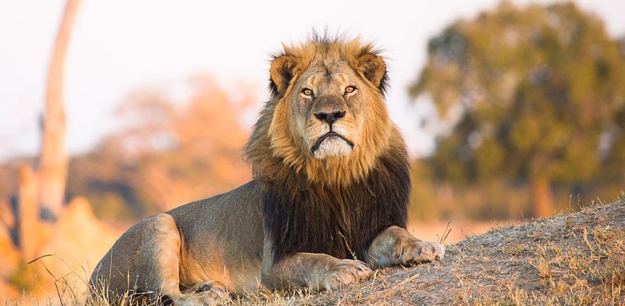 Representative Image. Credit: Getty Images