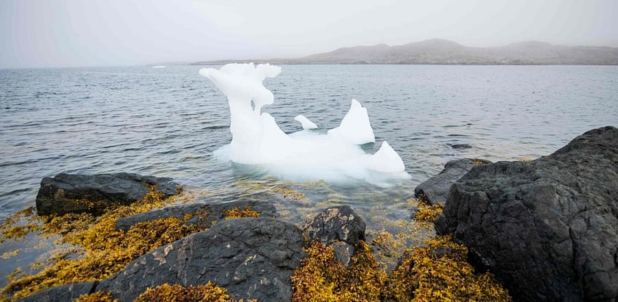 Representative Image. Credit: AFP Photo