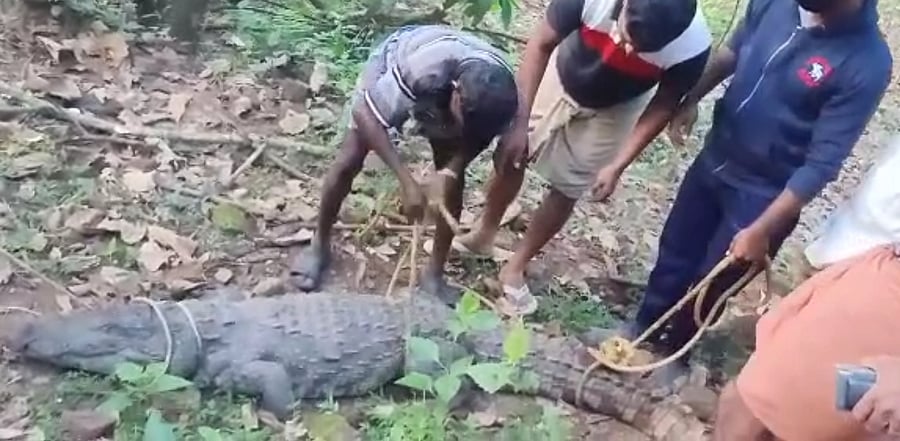 Credit: Special arrangement