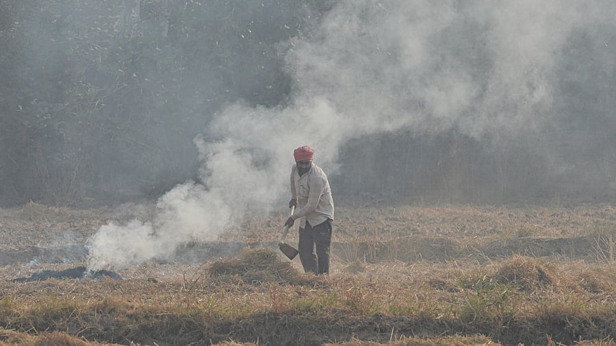 A farmer burns paddy stubble in a field. Credit: PTI Photo