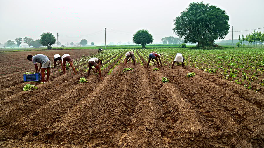 Representative image. Credit: iStock Photo