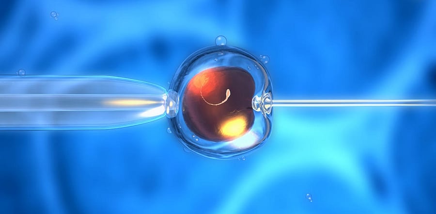 The research team pointed out that in nature, the second X chromosome is deactivated automatically, but in IVF, this does not happen. Credit: iStock Photo