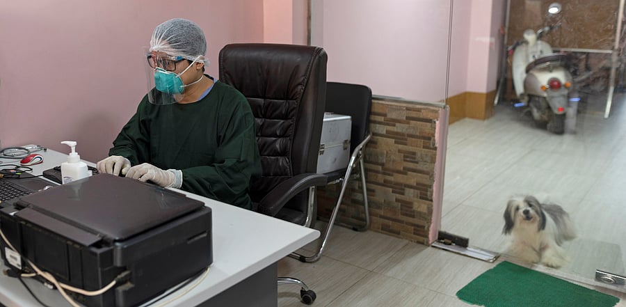 Local doctor Tin Htun Naing created a burial ground for pets, the country’s largest and best known, in 2015. Credit: Reuters