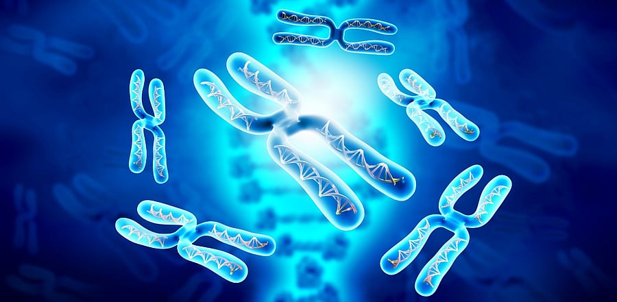 Representative image. Credit: iStock.