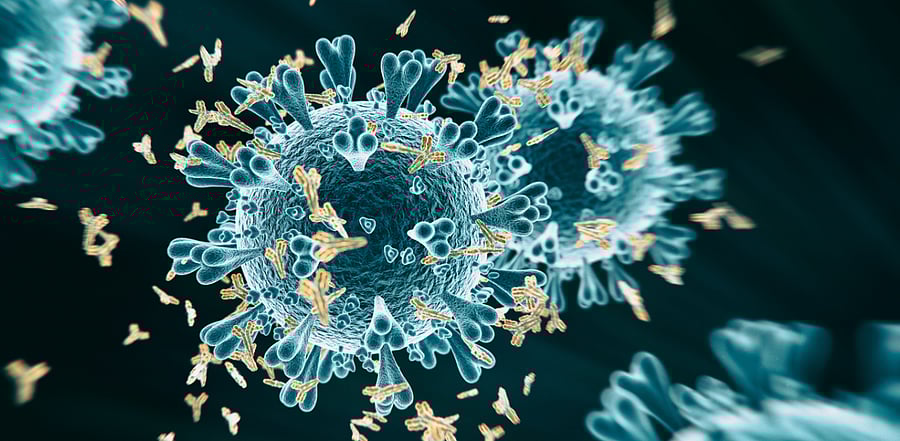 Representative Image. Credit: iStock Photo