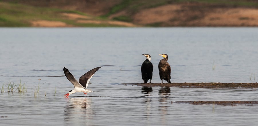 Representative image. Credit: iStock