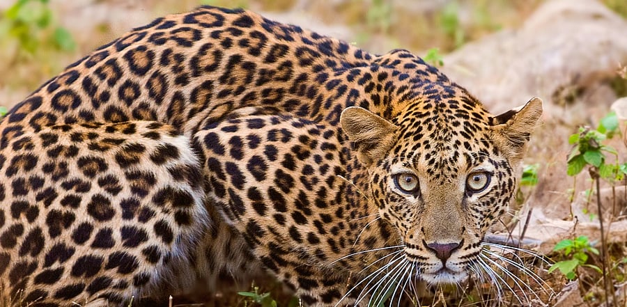 Representative image. Credit: iStock.