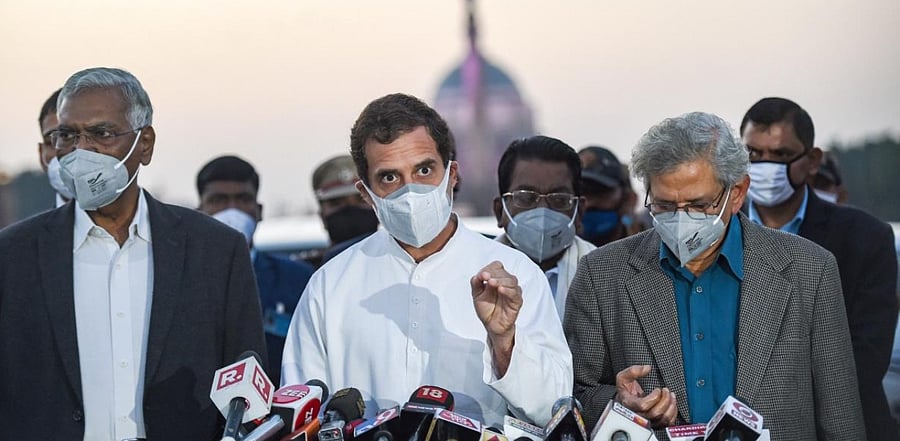 Rahul Gandhi. Credit: PTI.
