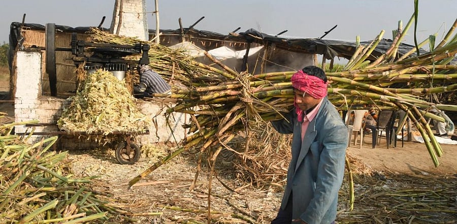 Representative image. Credit: PTI.