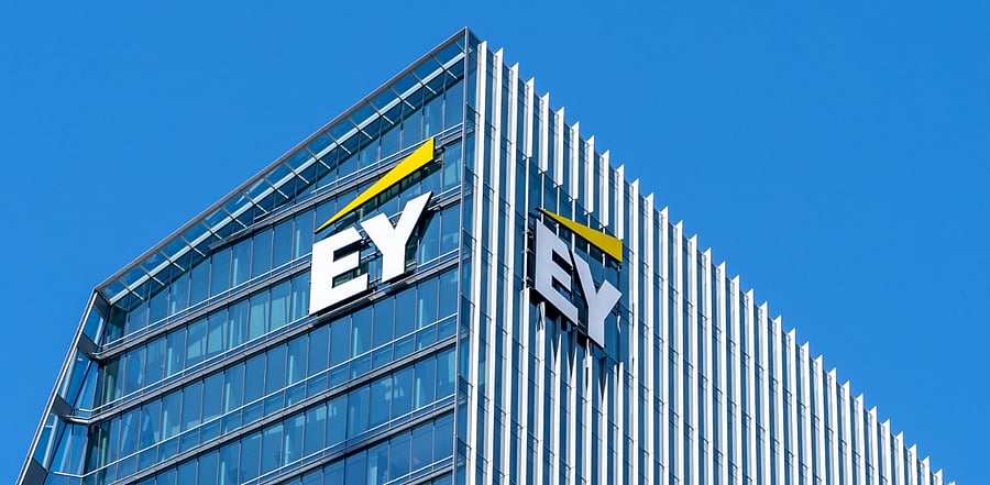 EY India also underlined the challenge posed by lack of standardisation in ESG marketplace as the scenario has led to "subjective interpretation" in certain cases. Credit: iStock.