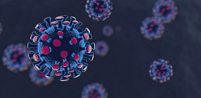 Representative image. Credit: iStock photo.