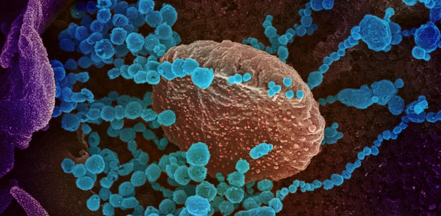 Representative Image. Credit: AFP Photo