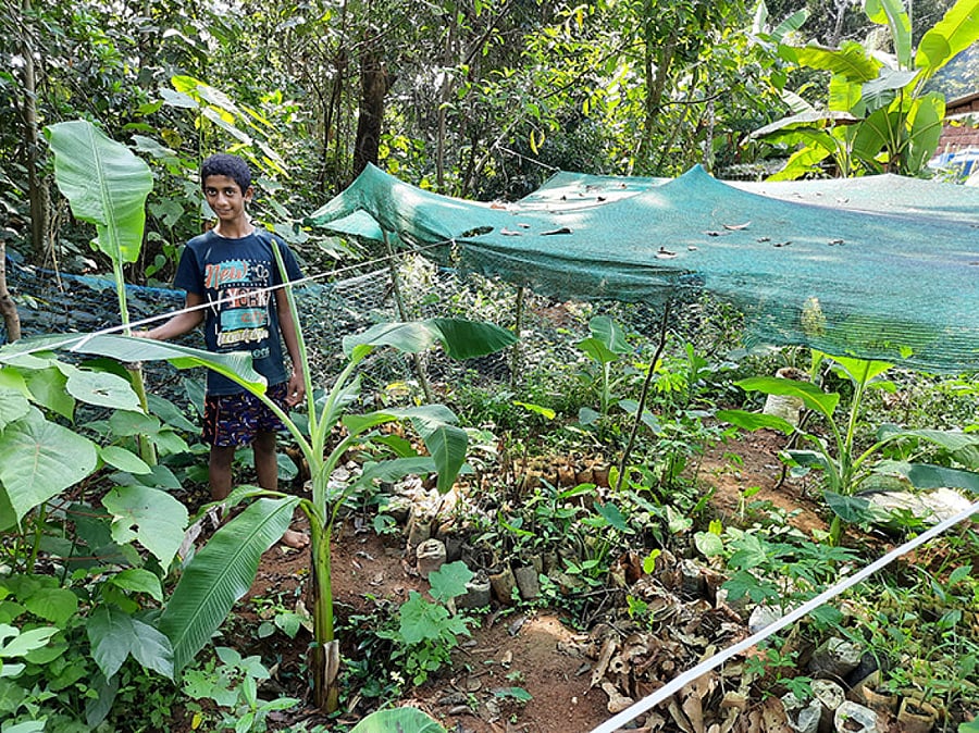 Samshuddhin, a class nine student of Government High School in Aladangadi. Credit: DH Photo