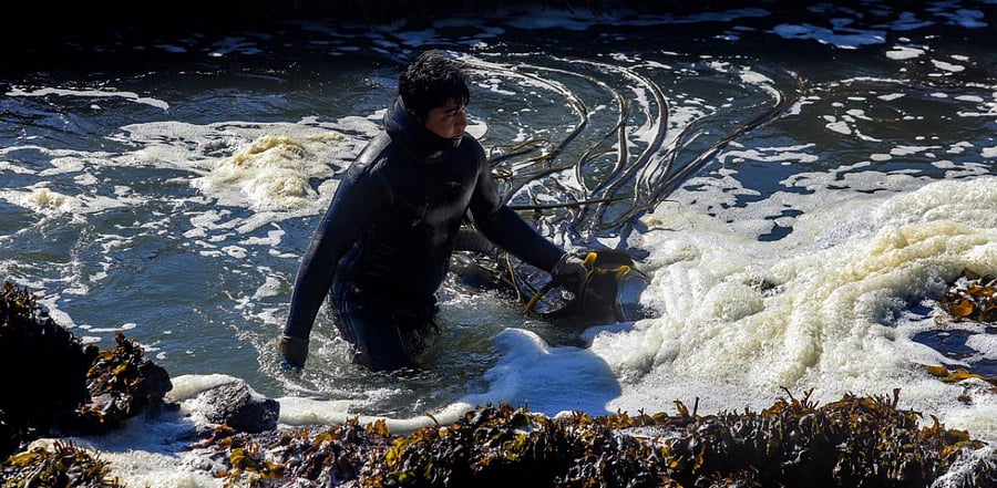 Representative Image. Credit: AFP