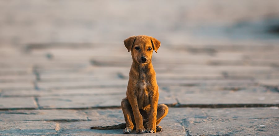 Representative image: iStock Photo