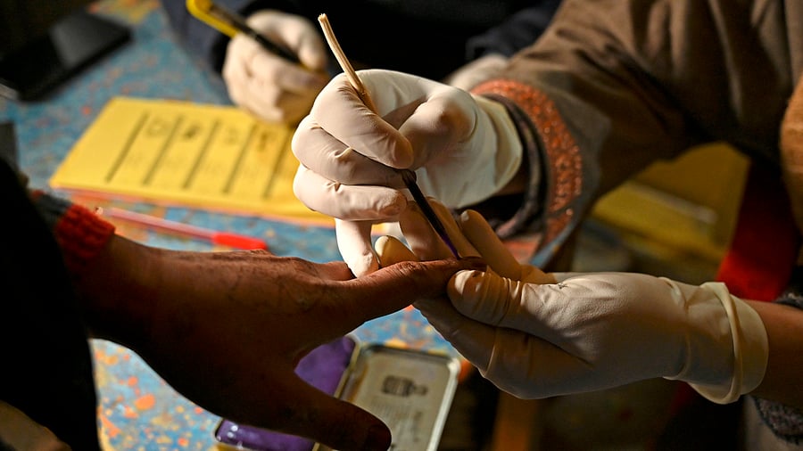 District Development Council (DDC) elections. Credit: PTI Photo