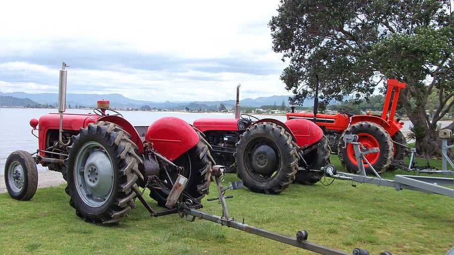 Representative image. Credit: iStock Photo