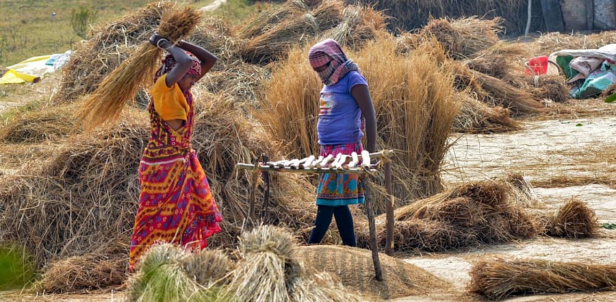 Representative Image. Credit: PTI Photo
