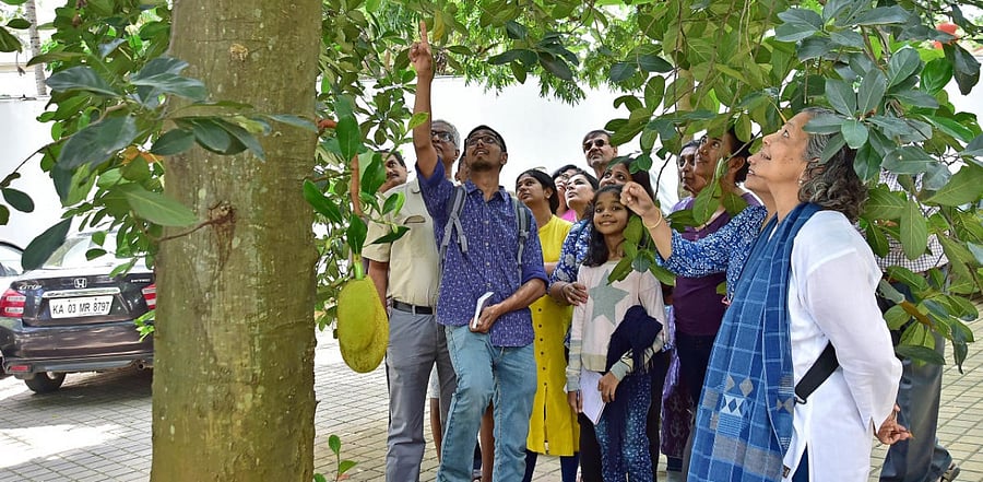 Credit: DH Photo/Ranju P