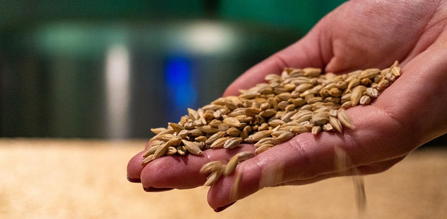 Representative Image. Credit: iStock Photo