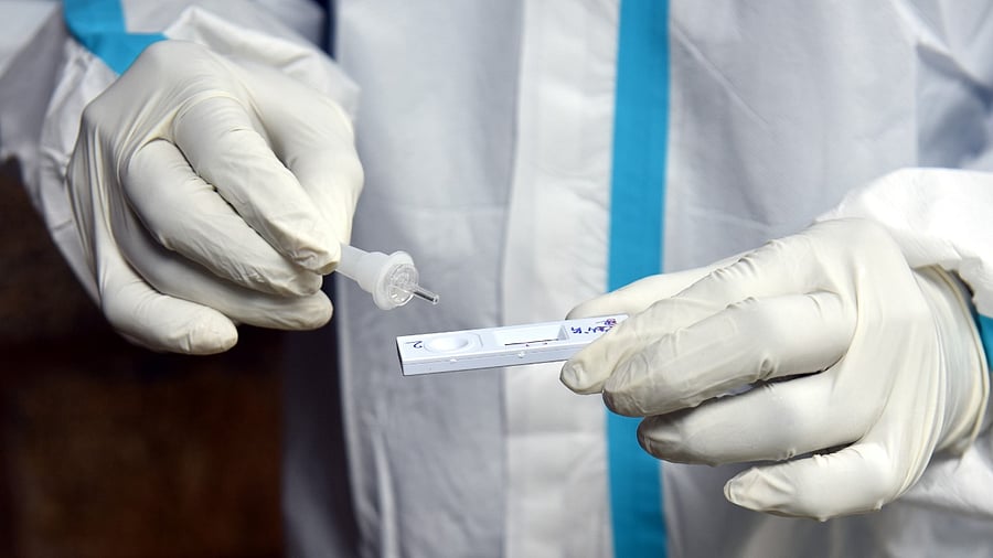 Representative image. Credit: DH Photo