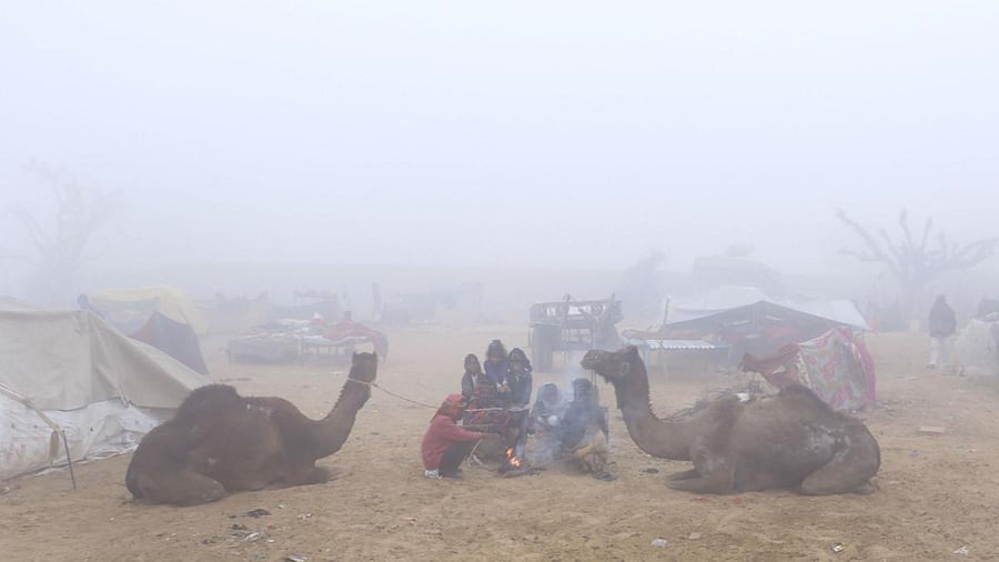 People warm themselves near a bonfire during a cold winter day, at Fatehpur Shekhawati in Rajasthan. Credit: PTI