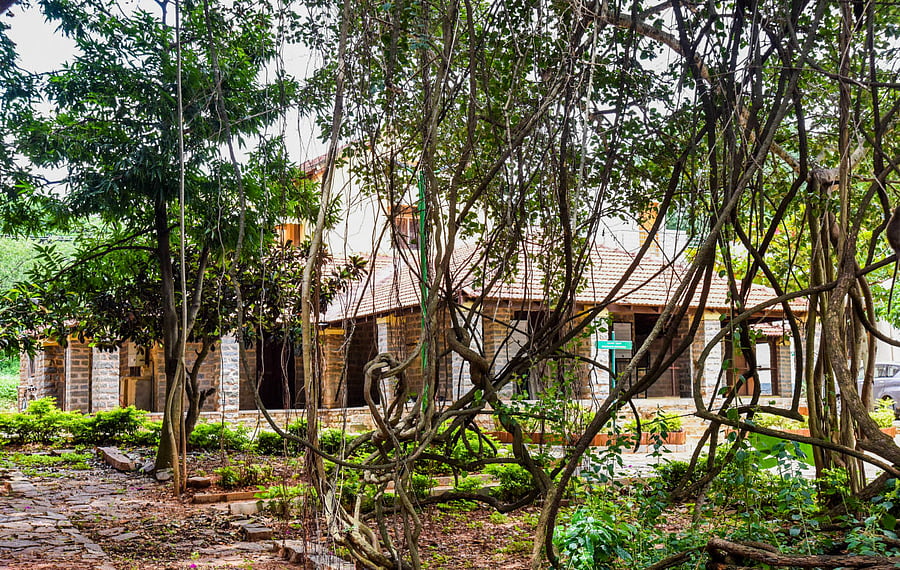 The estate, located off Kanakapura Road in South Bengaluru, belonged to yesteryear actress Devikarani and her Russian painter-husband Svetoslav Roerich. The couple died issueless. FILE PHOTO