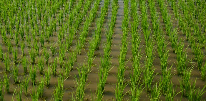 Representative image. Credit: iStock Photo