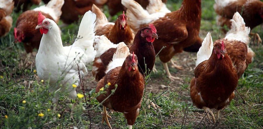 Representative image. Credit: Reuters.