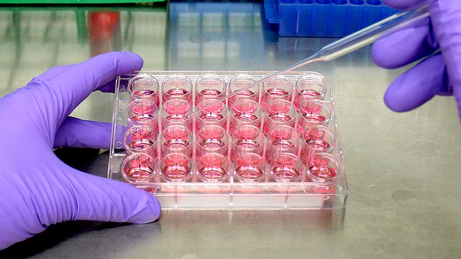 Representative Image. Credit: iStock Photo