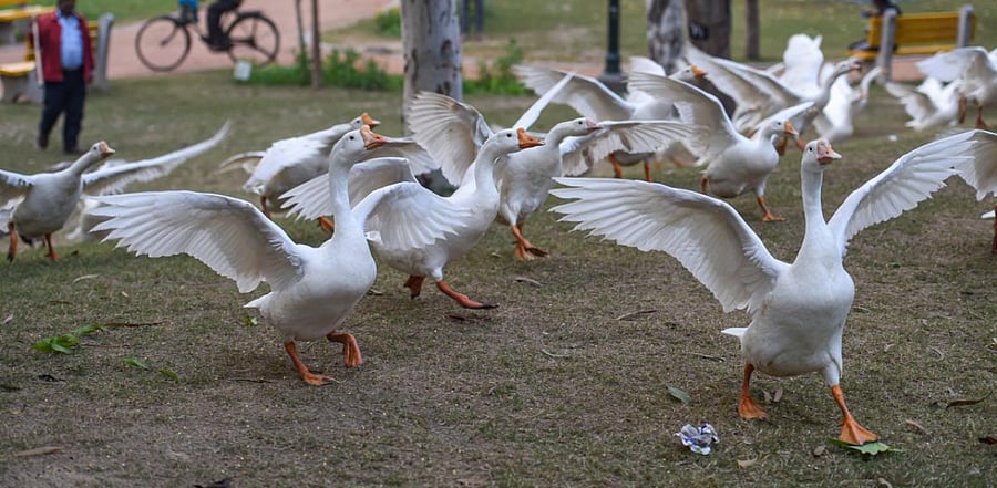 Representative Image. Credit: PTI Photo