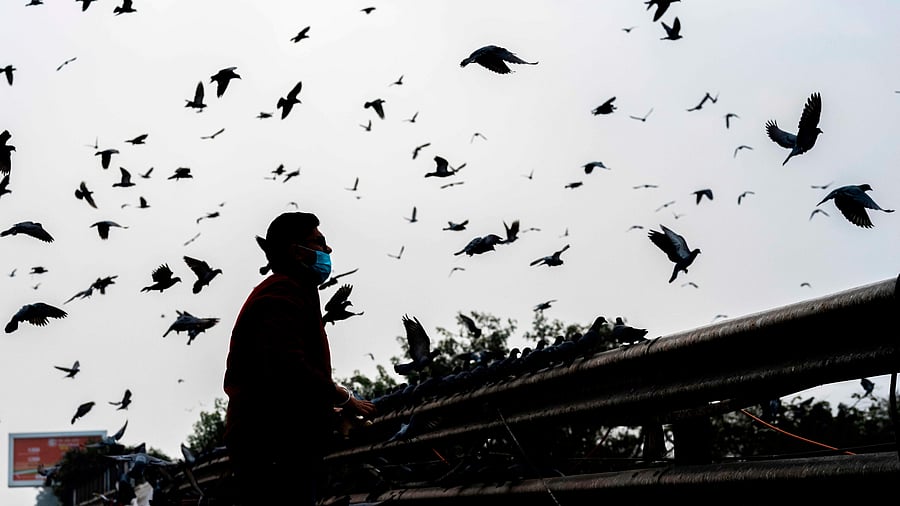 Representative photo: Credit: AFP