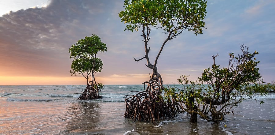 Representative Image. Credit: Pixabay Photo