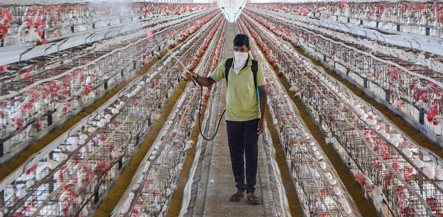 Representative Image. Credit: PTI Photo