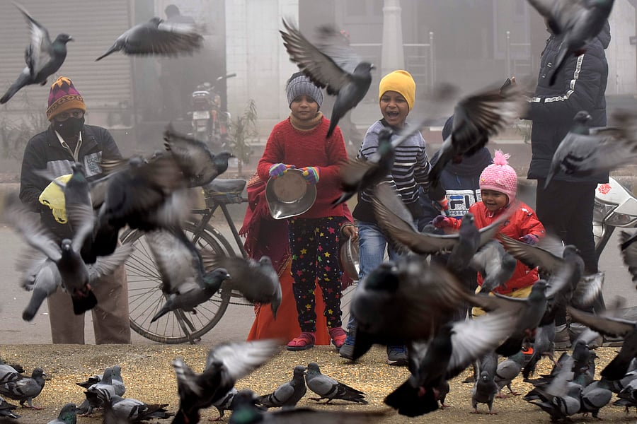 Children feed pigeons along the roadside on a cold winter morning in Amritsar. Credit: AFP Photo