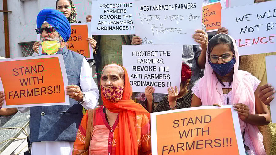 Representative Image. Credit: DH Photo