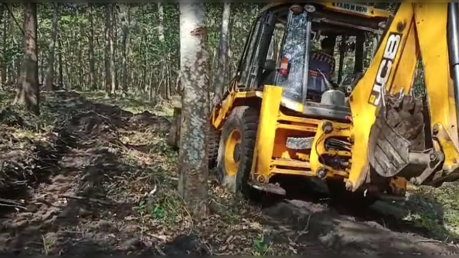 Credit: DH Photo/By Special arrangement