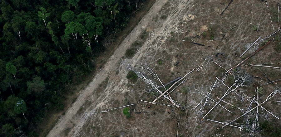 Credit: Reuters Photo