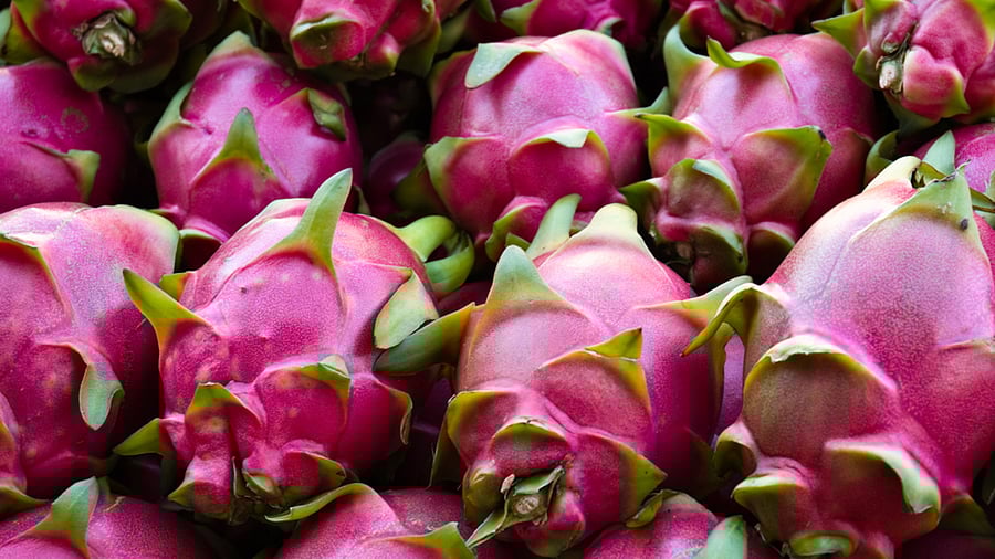 Representative image: iStock Photo