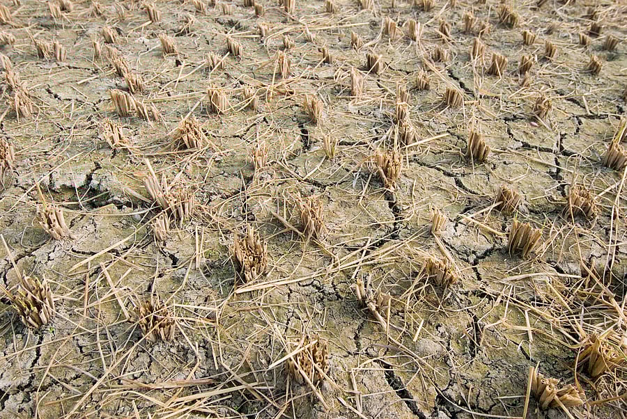 Represenative image. Credit: iStock.