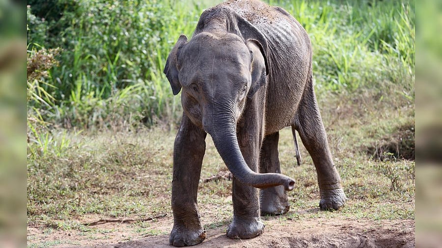 Representative image. Credit: iStock