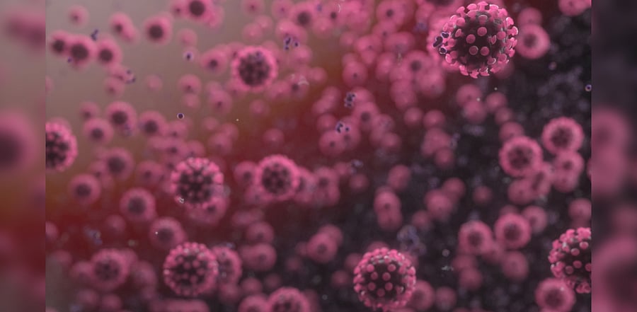 Representative image/Credit: iStock images