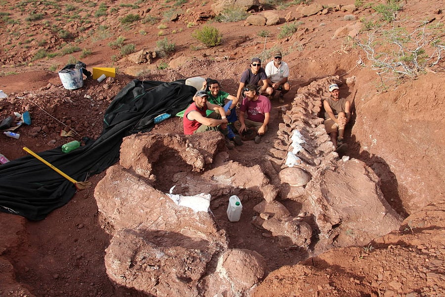 Palaeontologists pose for a picture next to an excavation of dinosaur bones and fossils that may have belonged to the largest dinosaur ever discovered, in Neuquen, Argentina November 12, 2016. Credit: Reuters