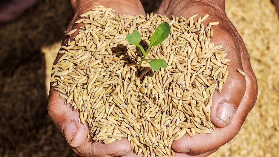 Representative image: iStock Photo