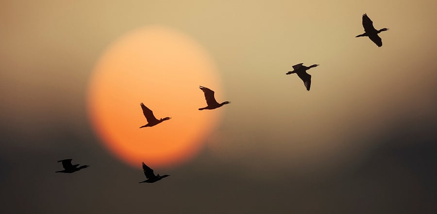 Credit: iStock Photo