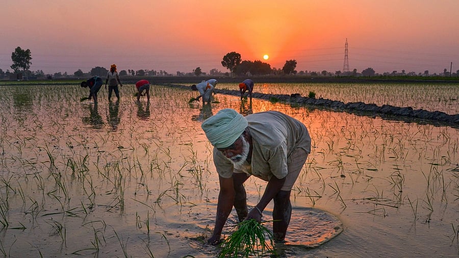 Representative Image. Credit: PTI File Photo